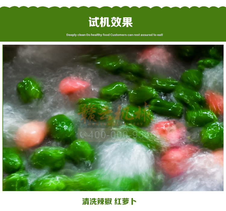 食品消毒洗菜機細(xì)節(jié)