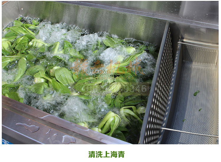 食品消毒洗菜機細(xì)節(jié)