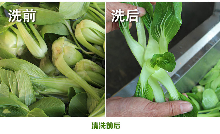 食品消毒洗菜機細(xì)節(jié)